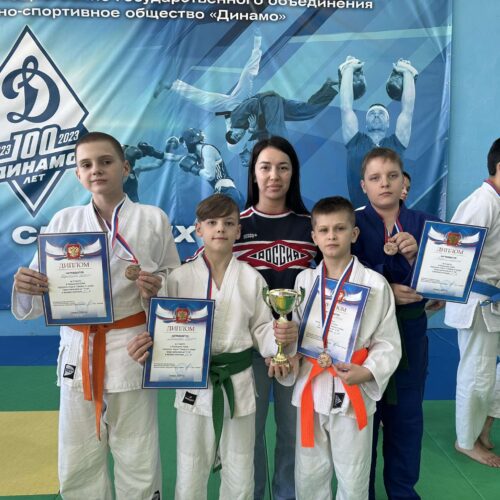 Командный кубок г.о. по дзюдо среди мальчиков до 13 лет