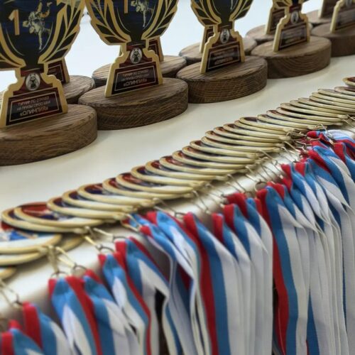 Турнир по дзюдо на призы «Олимпия»